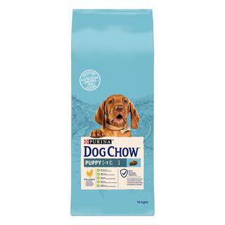 Dog Chow Puppy com frango ração para cachorros.